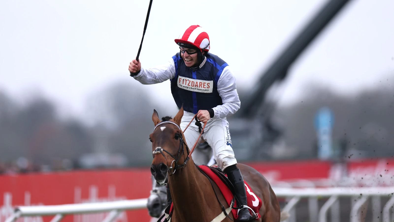 Redknapp’s Gold Cup Hope Sparks Betting Surge at Cheltenham 2026